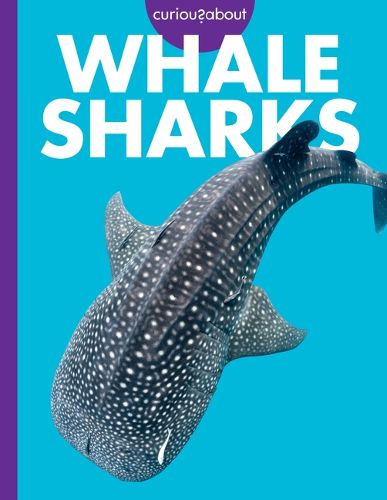 Cover image for Curious about Whale Sharks