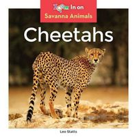 Cover image for Cheetahs