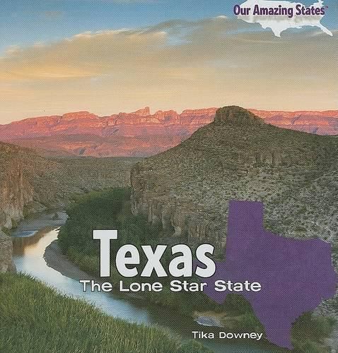 Cover image for Texas: The Lone Star State