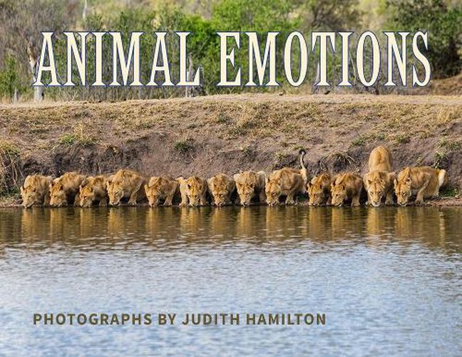 Cover image for Animal Emotions