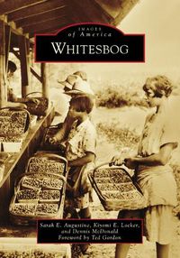 Cover image for Whitesbog