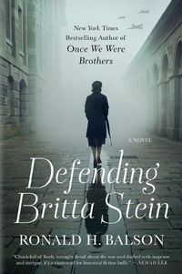 Cover image for Defending Britta Stein: A Novel