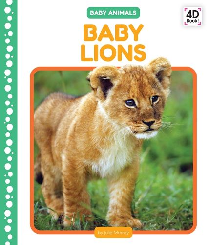 Cover image for Baby Lions