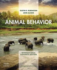 Cover image for Animal Behavior