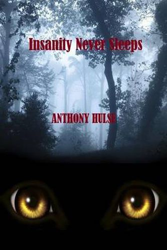 Cover image for Insanity Never Sleeps