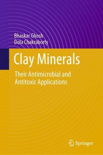Cover image for Clay Minerals