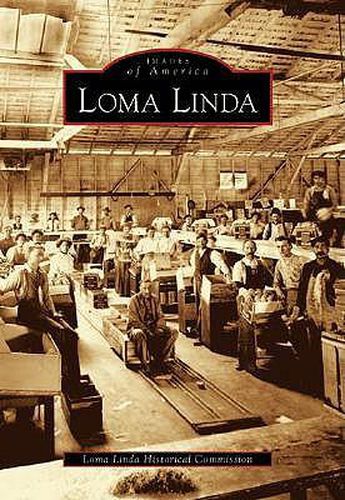 Cover image for Loma Linda