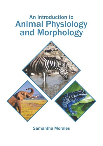 Cover image for An Introduction to Animal Physiology and Morphology