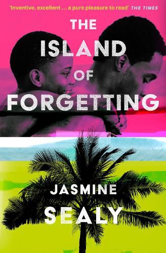 Cover image for The Island of Forgetting