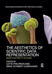 Cover image for The Aesthetics of Scientific Data Representation: More than Pretty Pictures