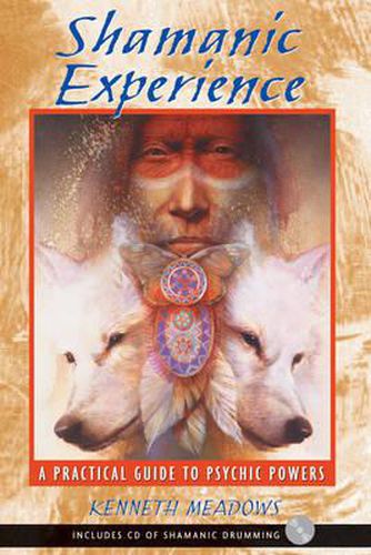 Cover image for Shamanic Experience