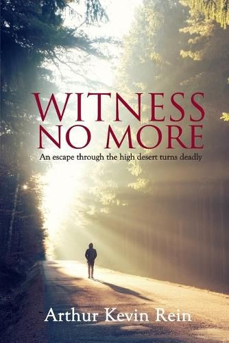 Cover image for Witness No More