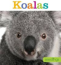 Cover image for Koalas