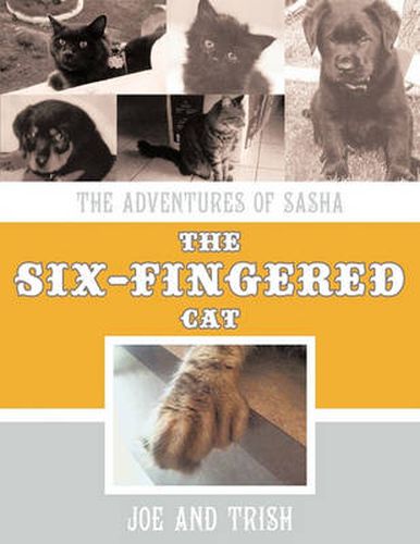 Cover image for The Adventures of Sasha, the Six-Fingered Cat