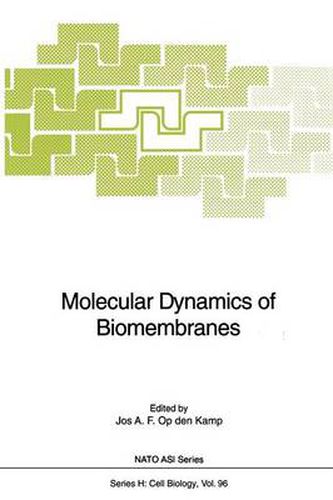 Cover image for Molecular Dynamics of Biomembranes