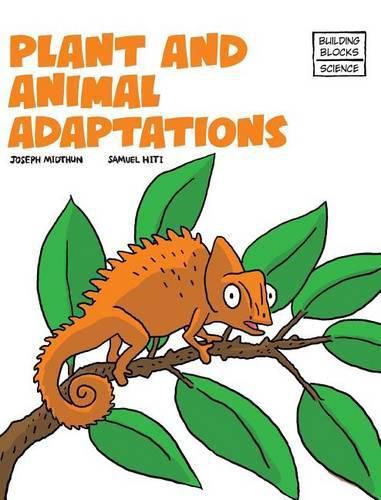 Plant and Animal Adaptions