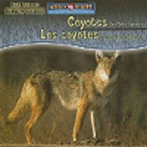 Coyotes Are Night Animals / Los Coyotes Son Animales Nocturnos