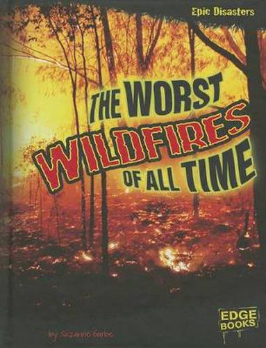 Cover image for The Worst Wildfires of All Time