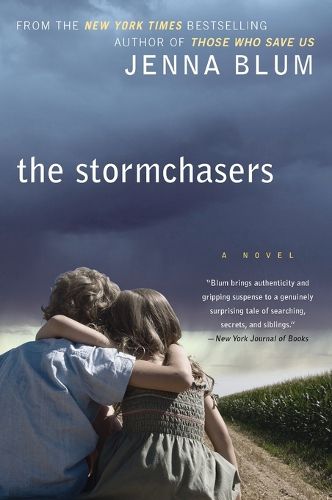 Cover image for The Stormchasers: A Novel