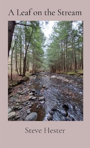 Cover image for A Leaf on the Stream