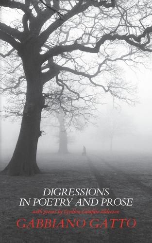 Cover image for Digressions in Poetry and Prose