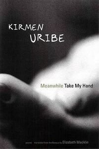 Cover image for Meanwhile Take My Hand