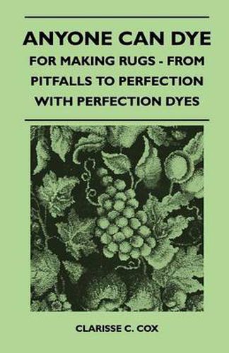 Anyone Can Dye - For Making Rugs - From Pitfalls to Perfection with Perfection Dyes