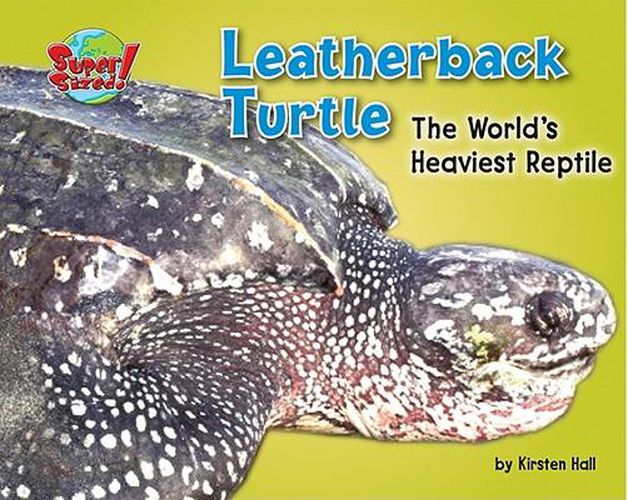 Leatherback Turtle: The World's Heaviest Reptile