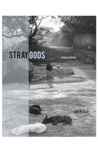 Cover image for Stray Gods