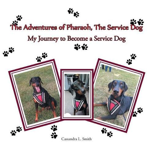 The Adventures of Pharaoh, the Service Dog