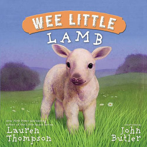 Cover image for Wee Little Lamb