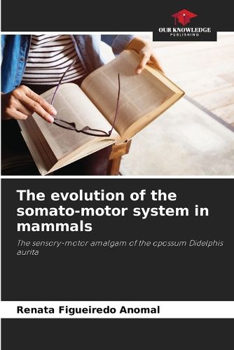 The evolution of the somato-motor system in mammals