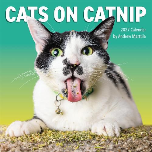 Cover image for Cats on Catnip Wall Calendar 2027