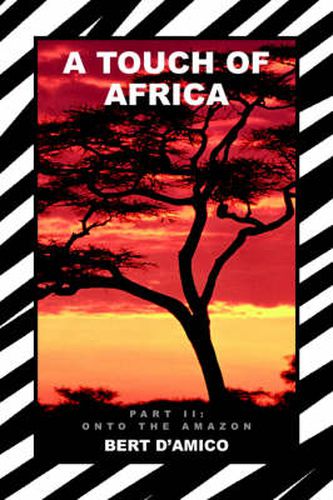 Cover image for A Touch of Africa