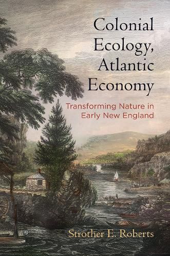 Cover image for Colonial Ecology, Atlantic Economy: Transforming Nature in Early New England