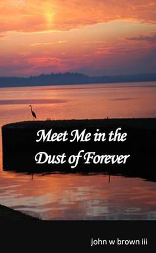 Cover image for Meet Me in the Dust of Forever