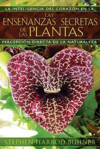 Cover image for Las Ensenanzas Secretas de Las Plantas: La Inteligencia del Corazon En La Percepcion Directa de la Naturaleza