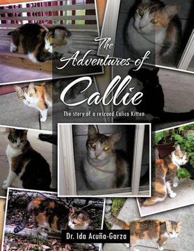 Cover image for The Adventures of Callie: The Story of a Rescued Calico Kitten