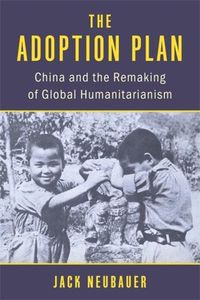 Cover image for The Adoption Plan