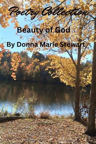 Cover image for Beauty of God