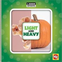 Cover image for Light and Heavy