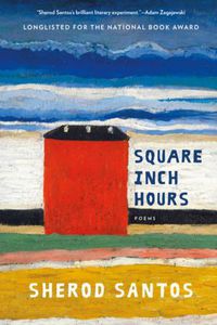 Cover image for Square Inch Hours: Poems