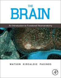 Cover image for The Brain: An Introduction to Functional Neuroanatomy