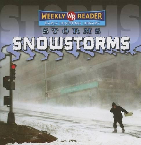 Cover image for Snowstorms