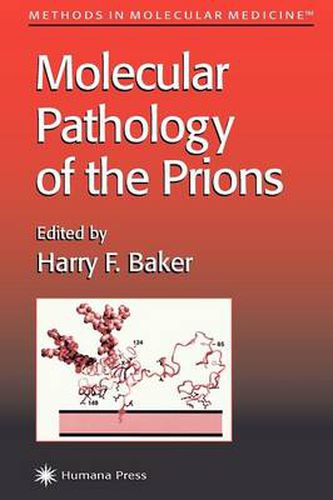 Cover image for Molecular Pathology of the Prions