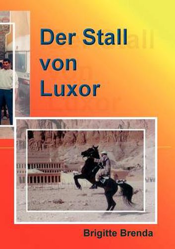 Cover image for Der Stall von Luxor: Eine Mutter eroeffnet Reitstall in AEgypten