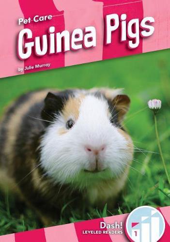 Cover image for Guinea Pigs