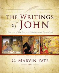 Cover image for The Writings of John: A Survey of the Gospel, Epistles, and Apocalypse