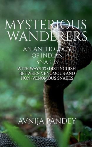 Cover image for Mysterious Wanderers