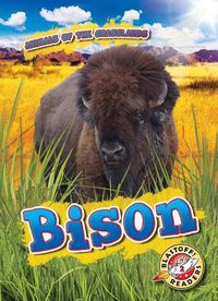Cover image for Bison